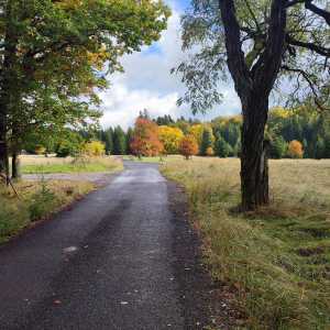 czech_autumn_2 czech_autumn_2