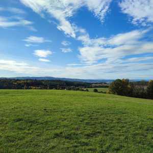 czech_fields czech_fields