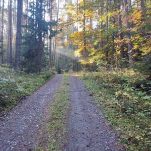 czech_misty_morning_2 czech_misty_morning_2
