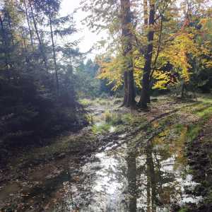 czech_ways czech_ways