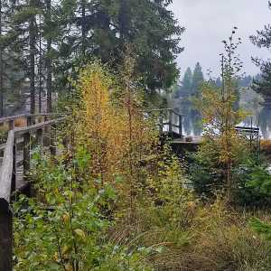 fichtel_lake fichtel_lake