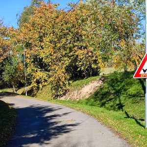 hermanky_funny_shield hermanky_funny_shield