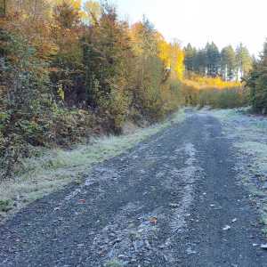 hermanky_nature_0 hermanky_nature_0