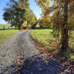 hermanky_nature_3 hermanky_nature_3