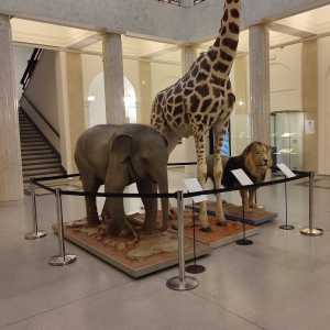 hermanky_opava_museum hermanky_opava_museum