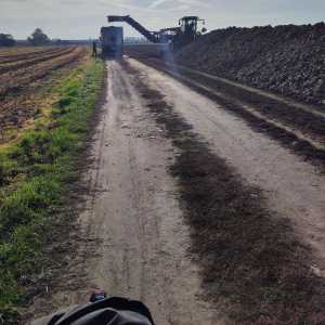 poland_fields_1 poland_fields_1